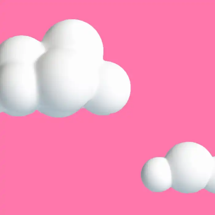 The Lung Wedge Resection