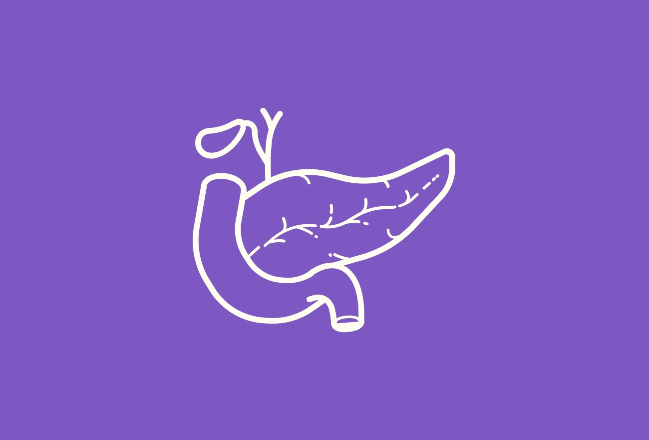 White line drawing of pancreas and stomach anatomy on purple background