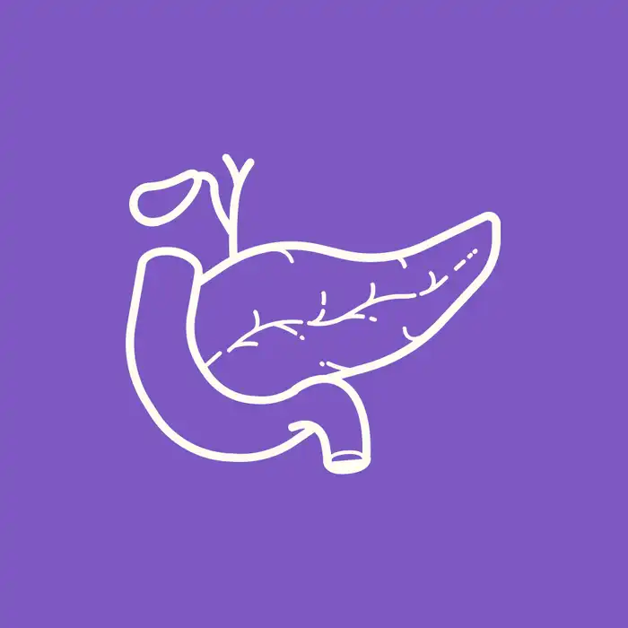 The Pancreas Polyp Vs Tumor