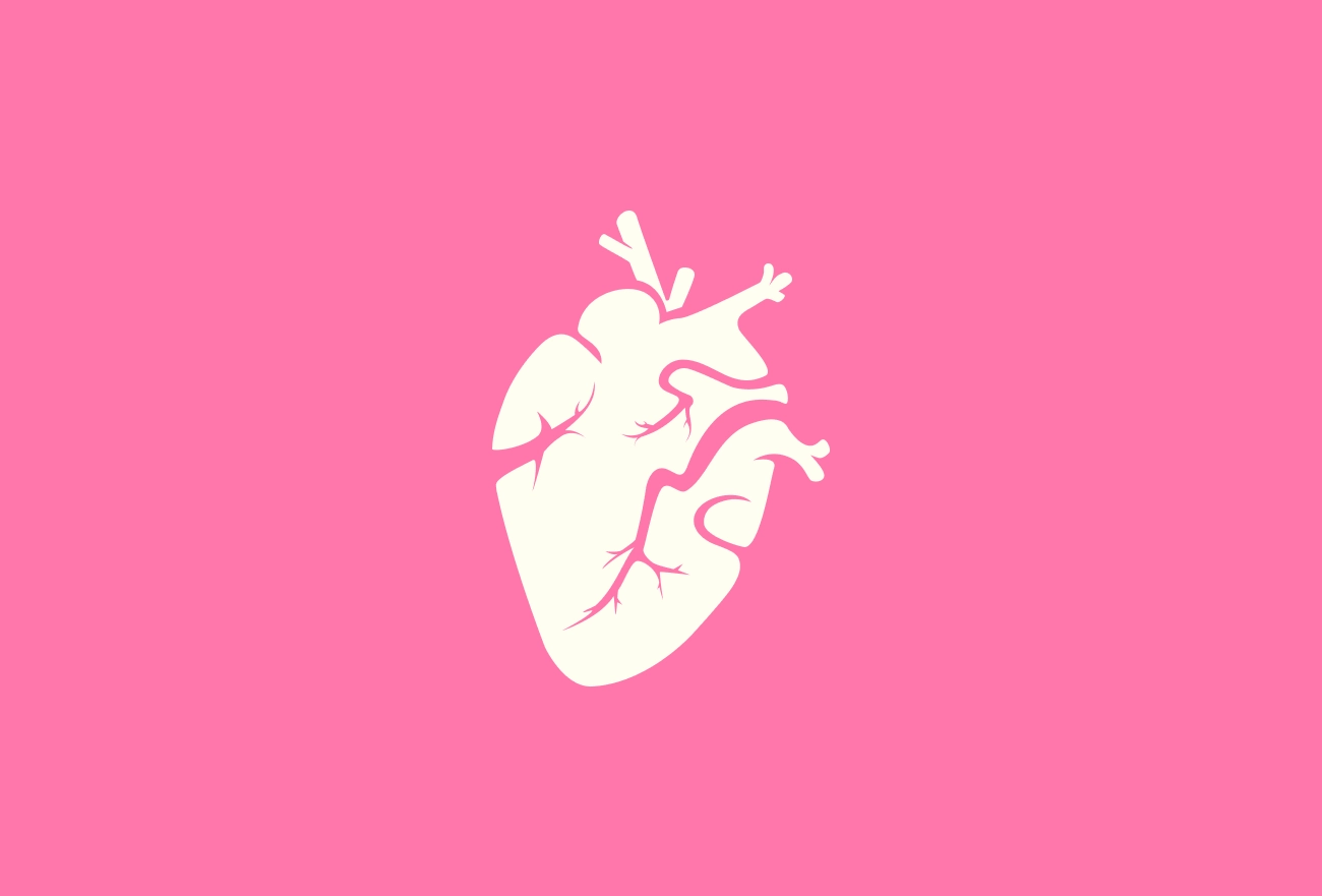 Anatomical heart illustration with veins and arteries on bright pink background