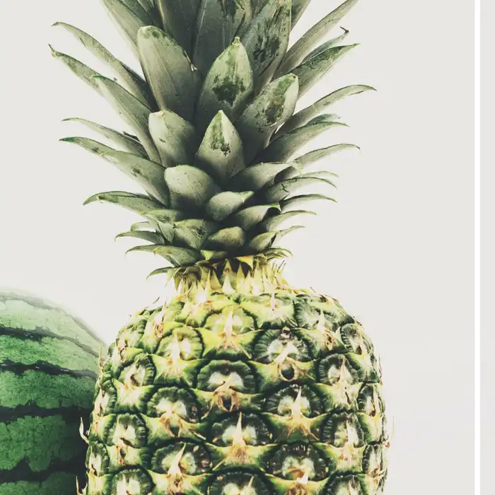 Healthy gut, Healthy body