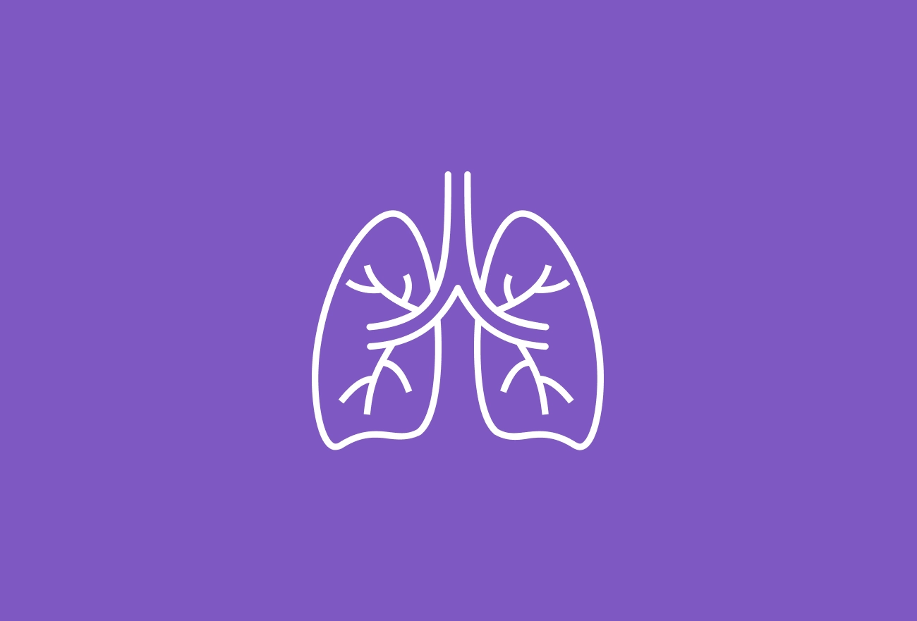 Lungs with bronchial tree line icon on purple background