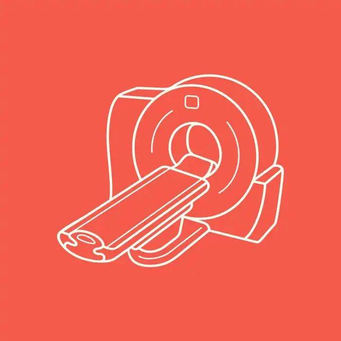 What Organs Can Be Screened by a Full-body MRI?