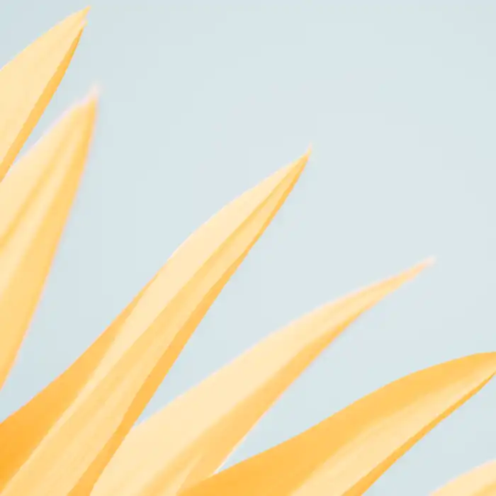 Why Should Physicians Consider a Full-Body MRI for Their Patients?