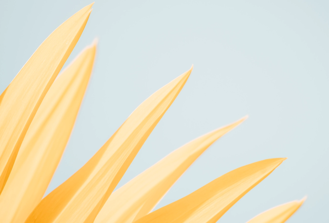 Abstract yellow and orange pointed shapes on light blue background