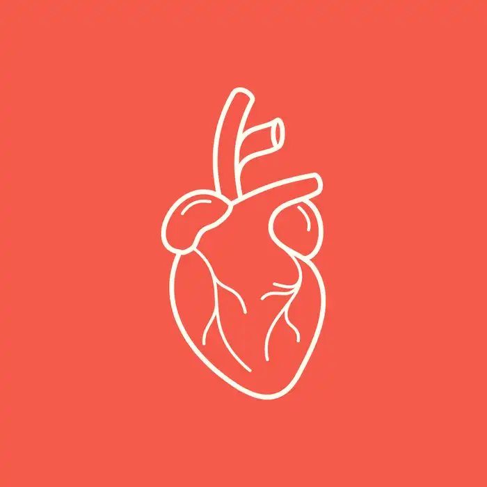 Four Lifestyle Changes That Could Help Your Heart