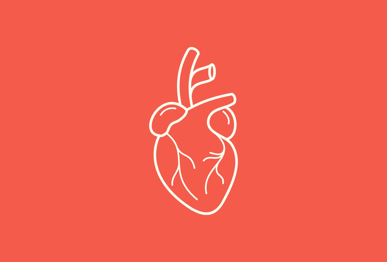 Anatomical heart illustration in white on red background