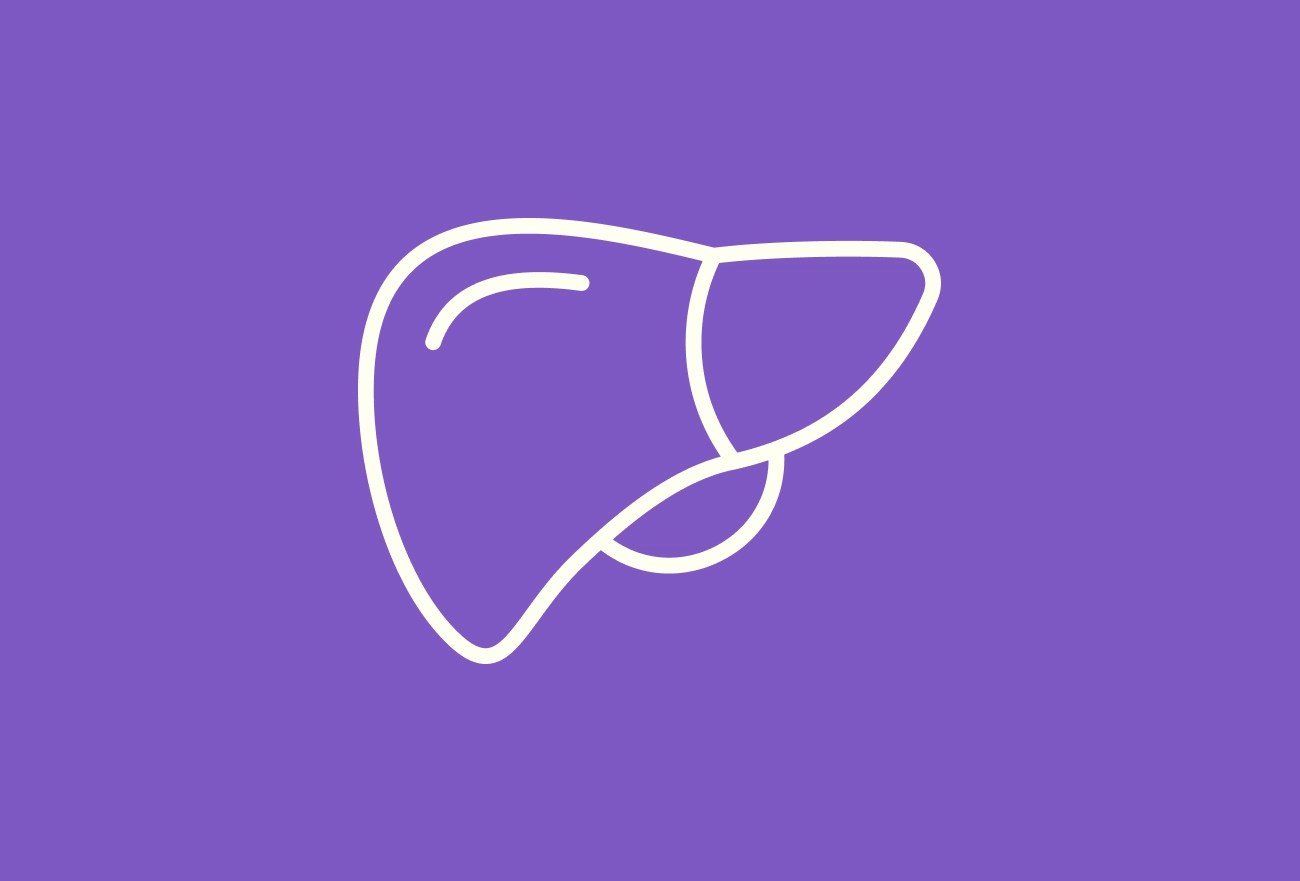 Liver organ line icon on purple background