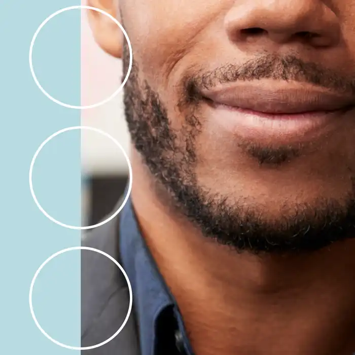 From the Base to the Apex of Lungs: Your Guide to This Organ