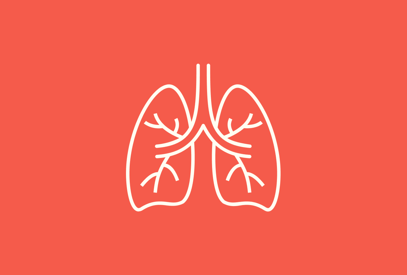 White line illustration of lungs with bronchi on coral red background