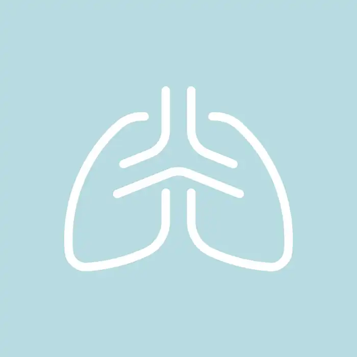 Lung Blebs: Causes, Risks, and Treatment Options