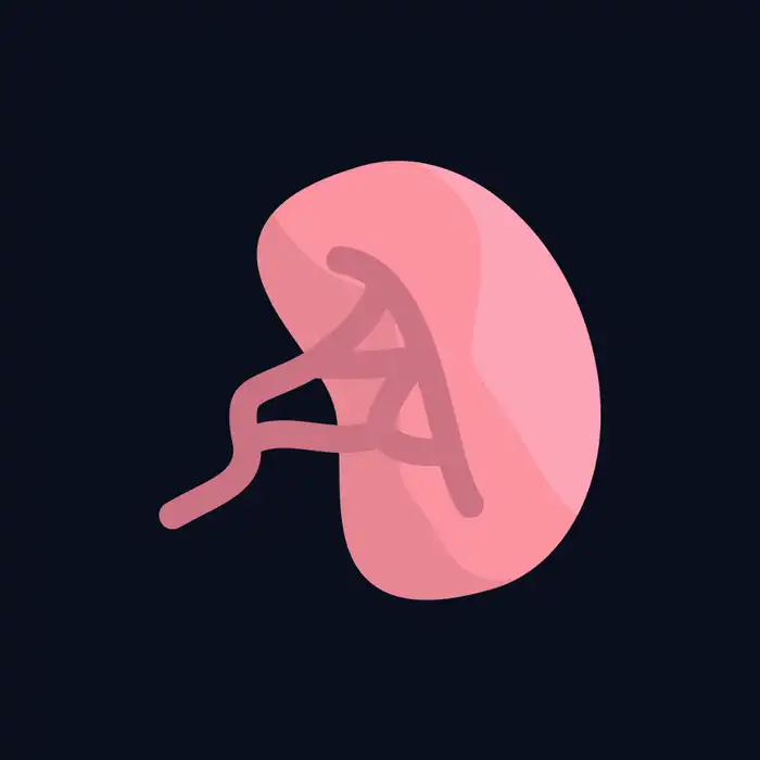 Causes of an Enlarged Spleen: Mononucleosis and Beyond