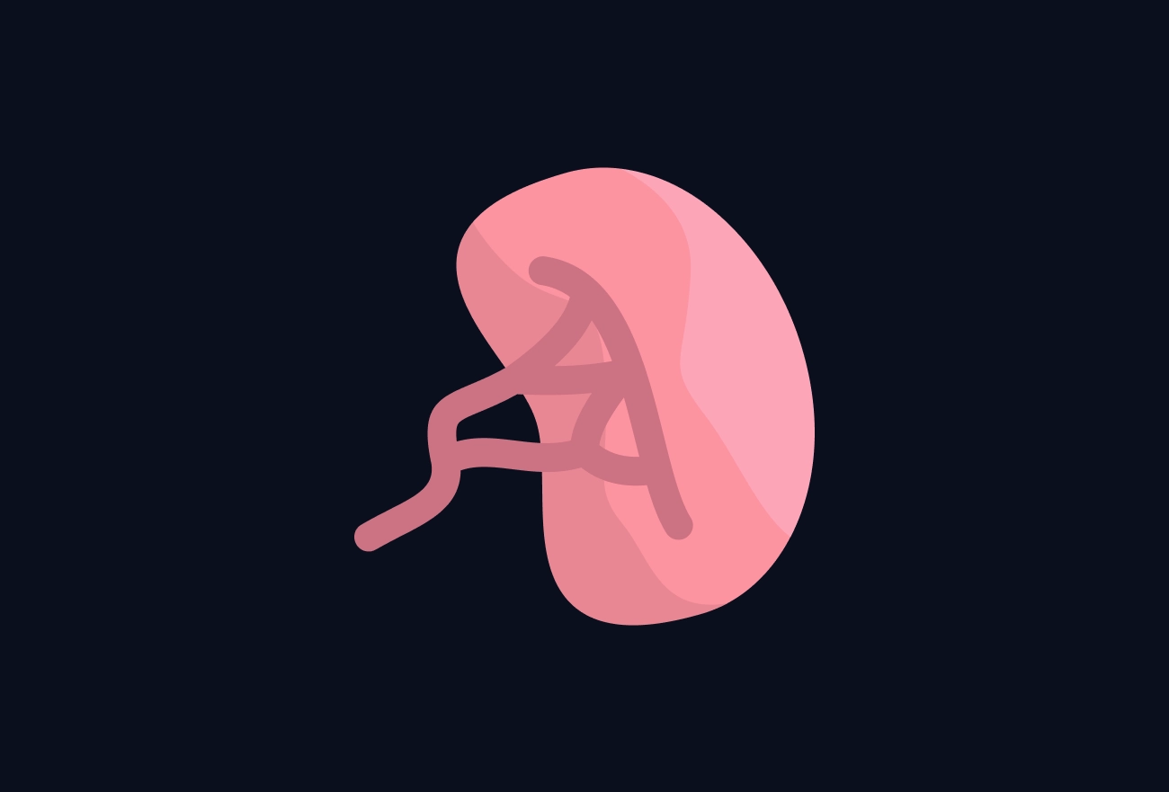 Illustration of a figure in fetal position inside a pink kidney on dark background