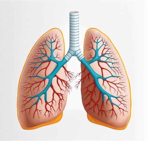 Have You Ever Been A ‘Smoker’? Is It Time For Lung Cancer Screening? 