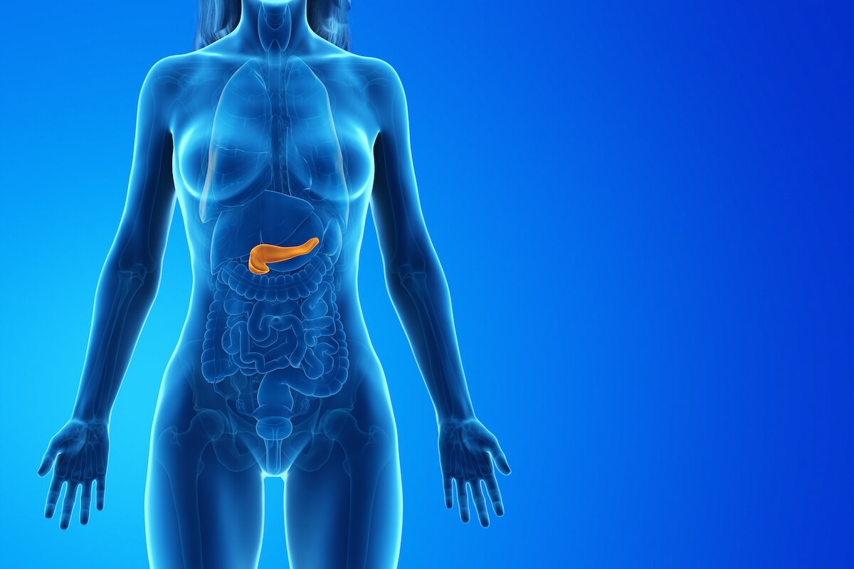 Female anatomical illustration showing pancreas highlighted in orange within torso against blue background