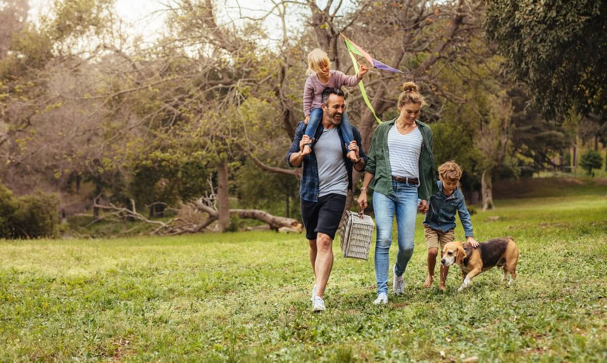 Family enjoying park outing with child on shoulders holding kite, picnic basket, young child walking with beagle dog