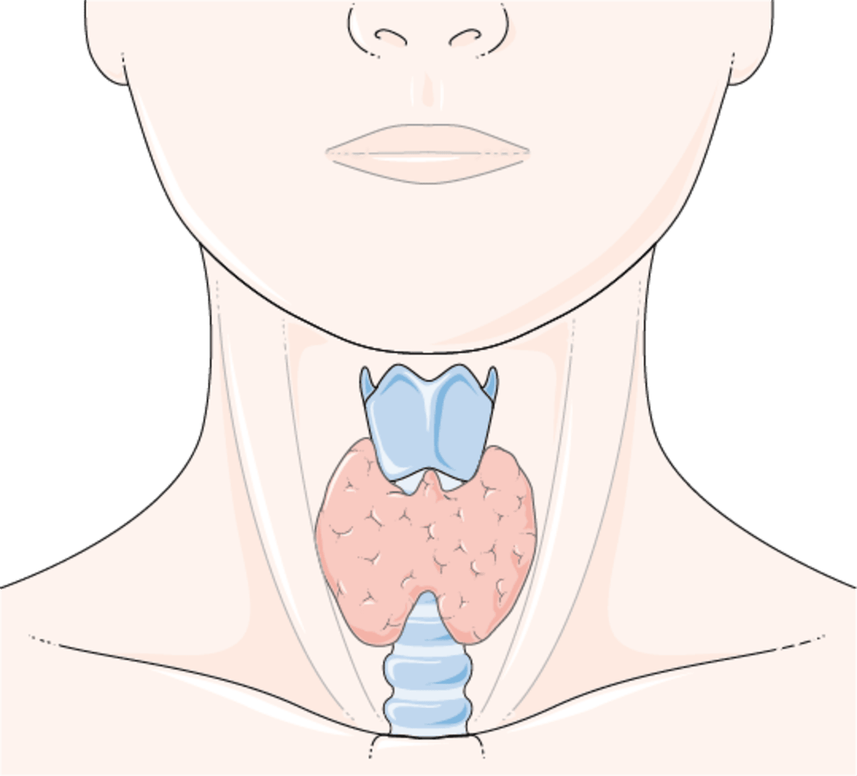Thyroid Cancer Fact-Check: Seven Nutrition & Lifestyle Myths Busted