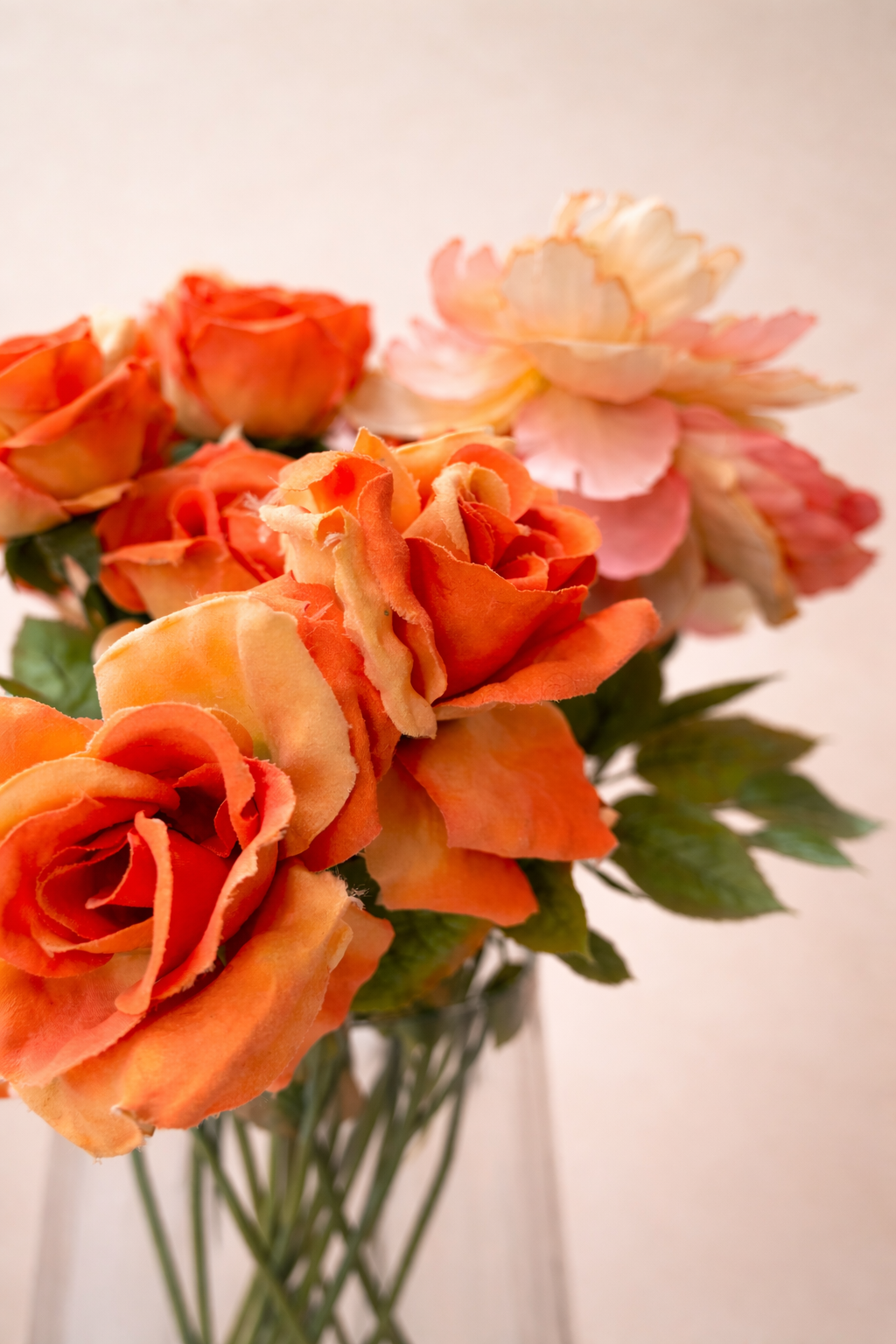pivoines orange