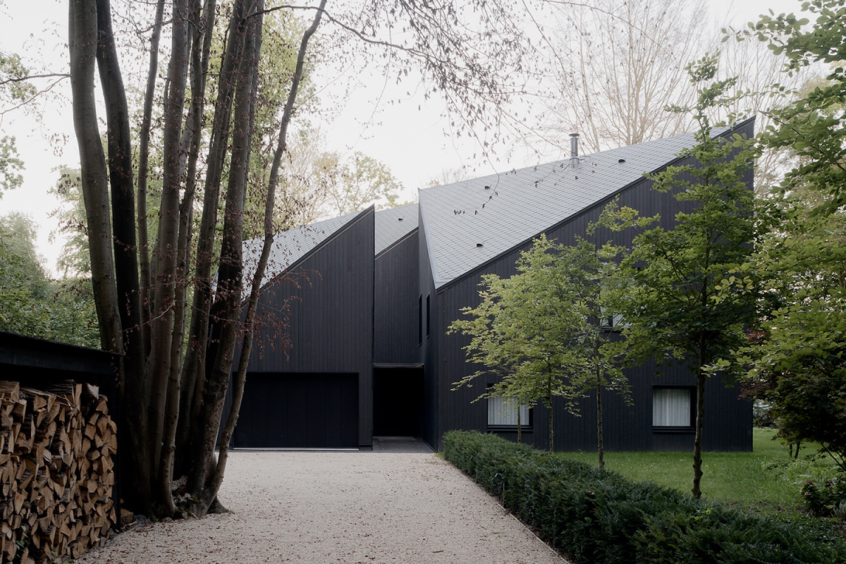 Forest House — thumbnail