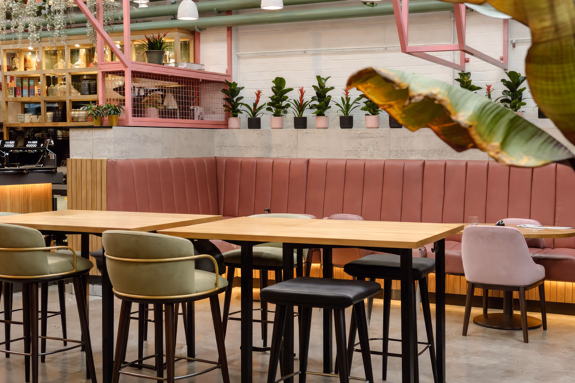 Modern cafe interior with light wooden tables, green and pink upholstered chairs, pink cushioned bench seating, plants on ledge, and soft lighting.