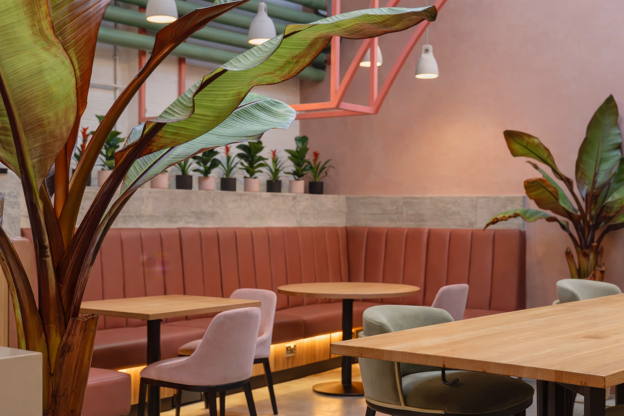 Modern café seating with pink booths, pastel chairs, wooden tables, and large green plants indoors.