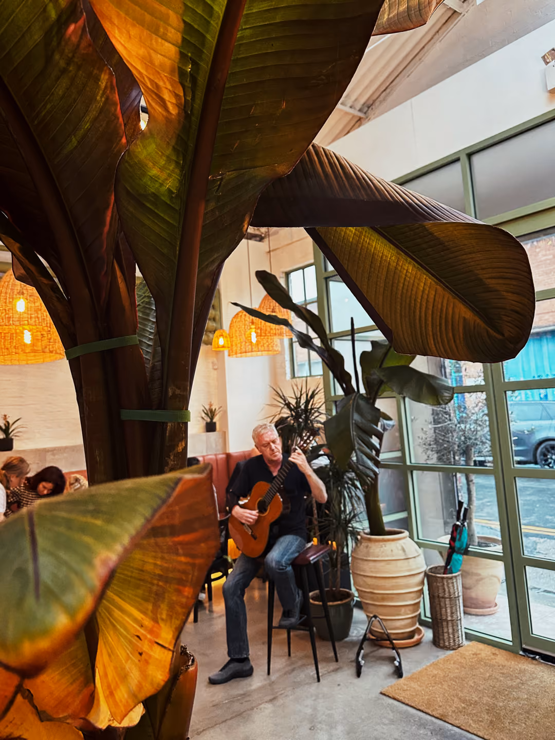 Man playing guitar sitting on a stool in a plant-filled cafe with large leaves and hanging lights.
