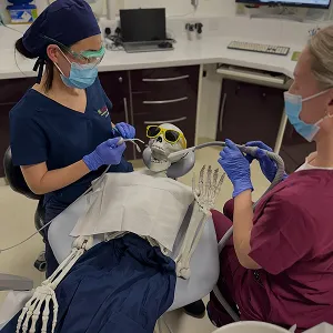 Two dental professionals wearing masks and gloves attending to a skeleton patient with yellow sunglasses in a dental clinic.