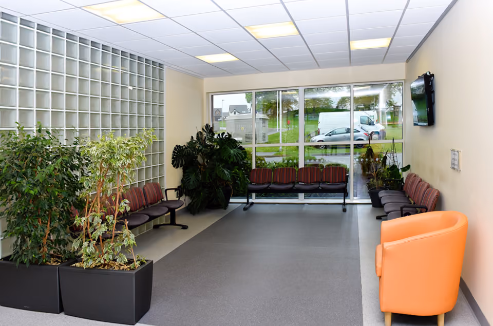 Waiting room with striped chairs along the walls, large windows showing parked cars outside, and various potted plants and an orange armchair.