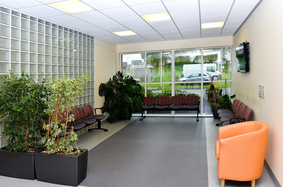 Waiting room with striped chairs along the walls, large windows showing parked cars outside, and various potted plants and an orange armchair.
