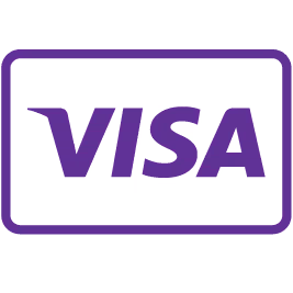 Visa Credit Card Logo