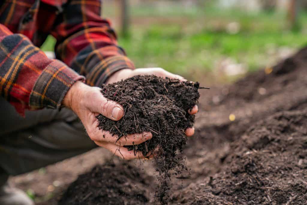 Person in a plaid shirt holding rich, dark soil over a garden bed.