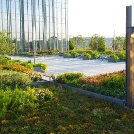 ERTH – HydRocks Lightweight Soil