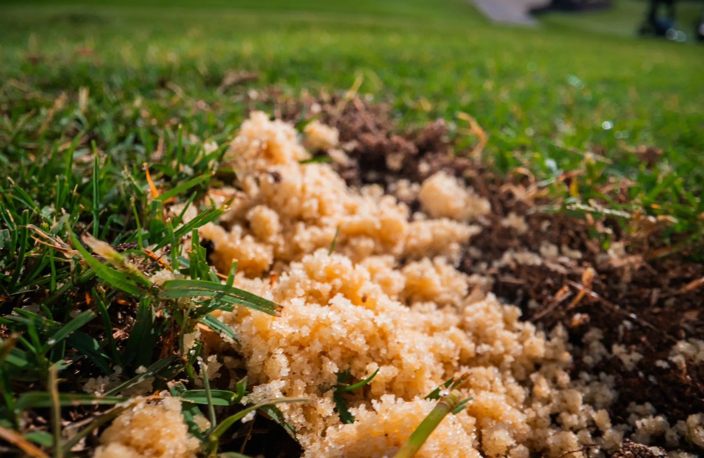 Leveling Sand For Lawn