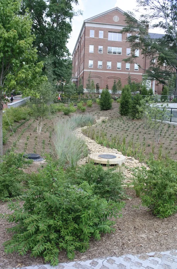 Bio Retention Soil