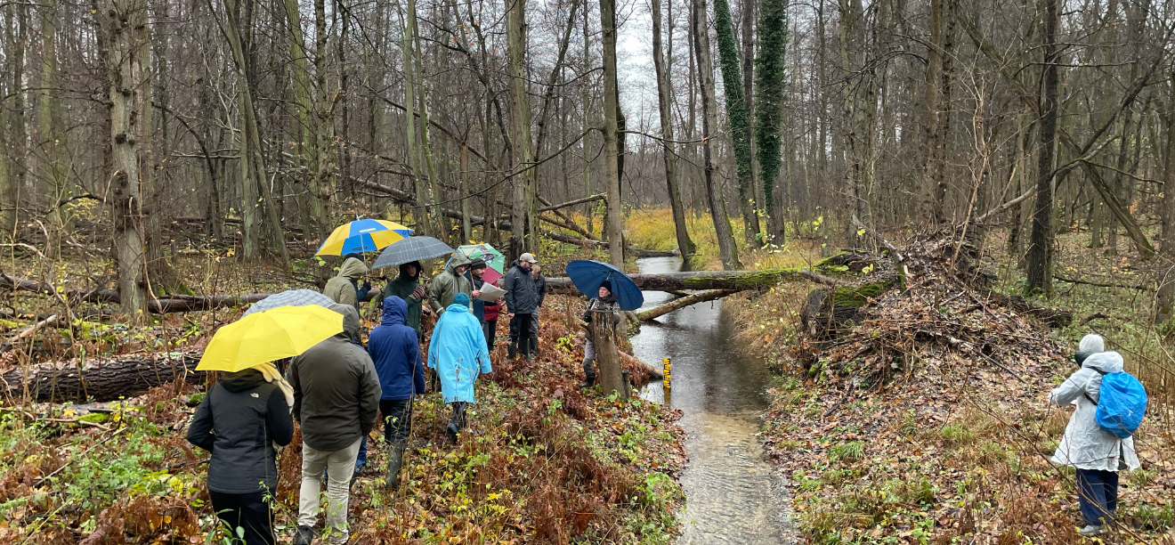 Zwischenfruchtbeweidung Klimapraxis