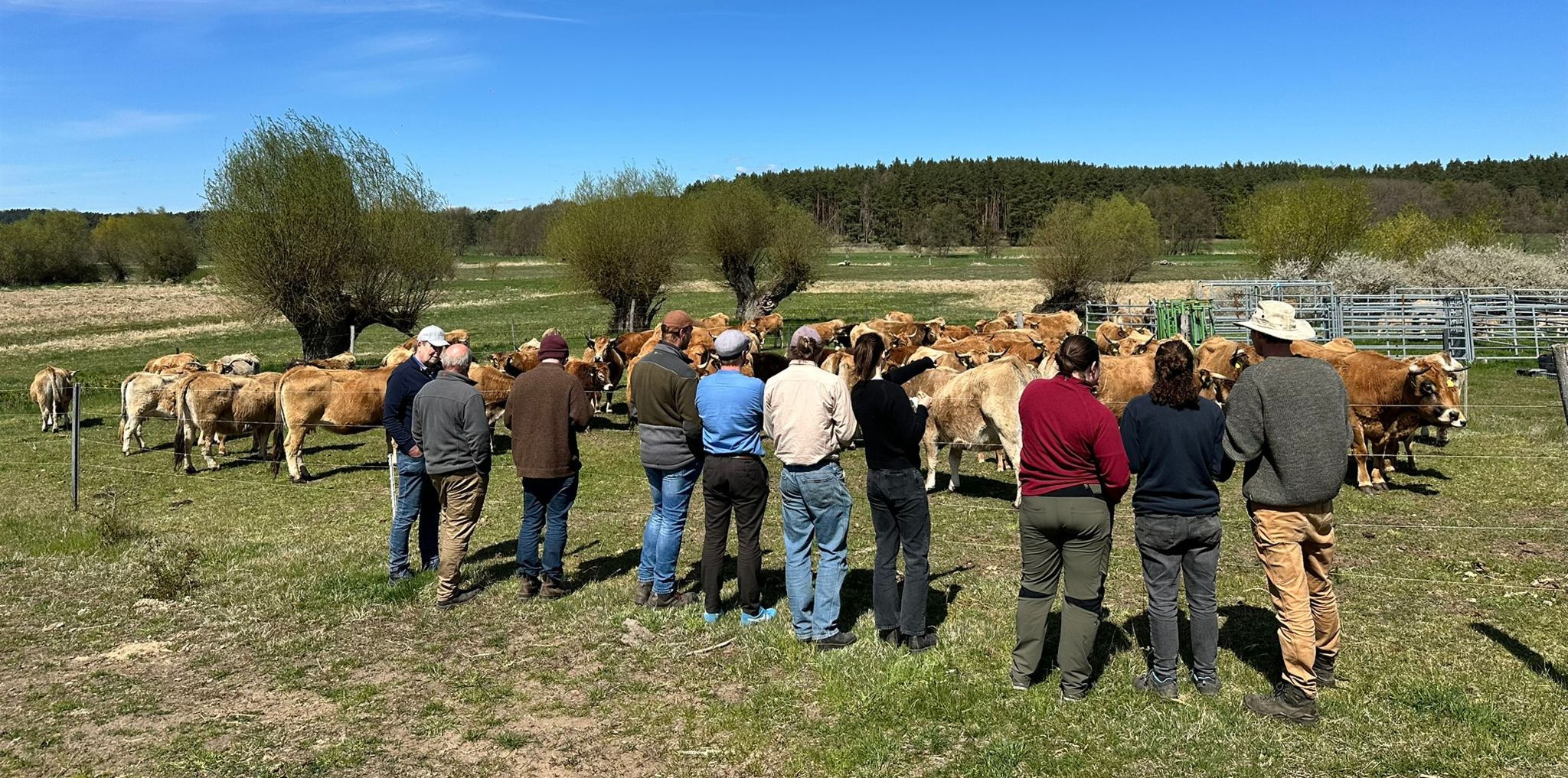 EIP Projekt Zwischenfruchtbeweidung
