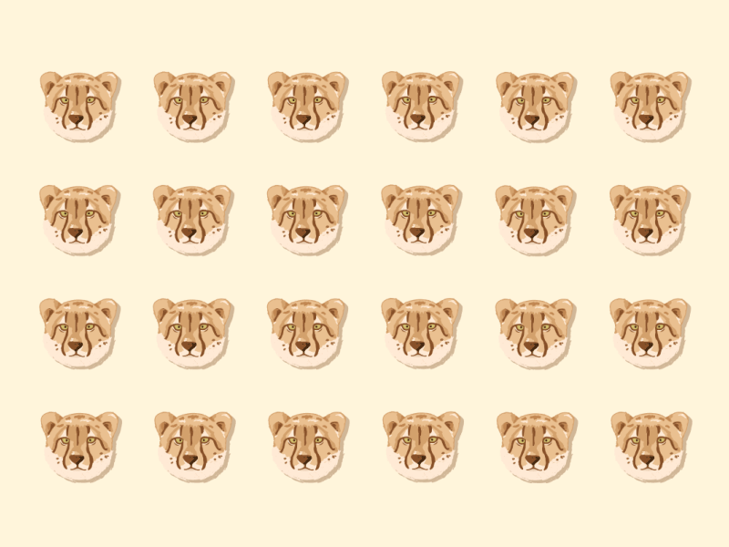 motion-graphic-4