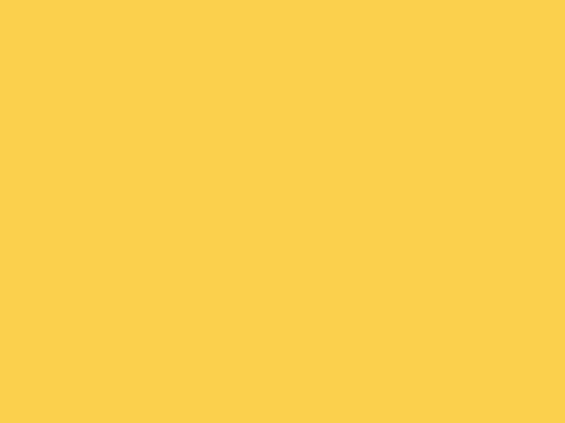 motion-graphic-61