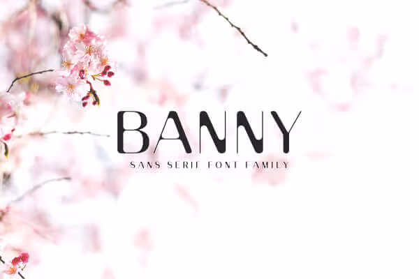 banny modern sans serif.jpg