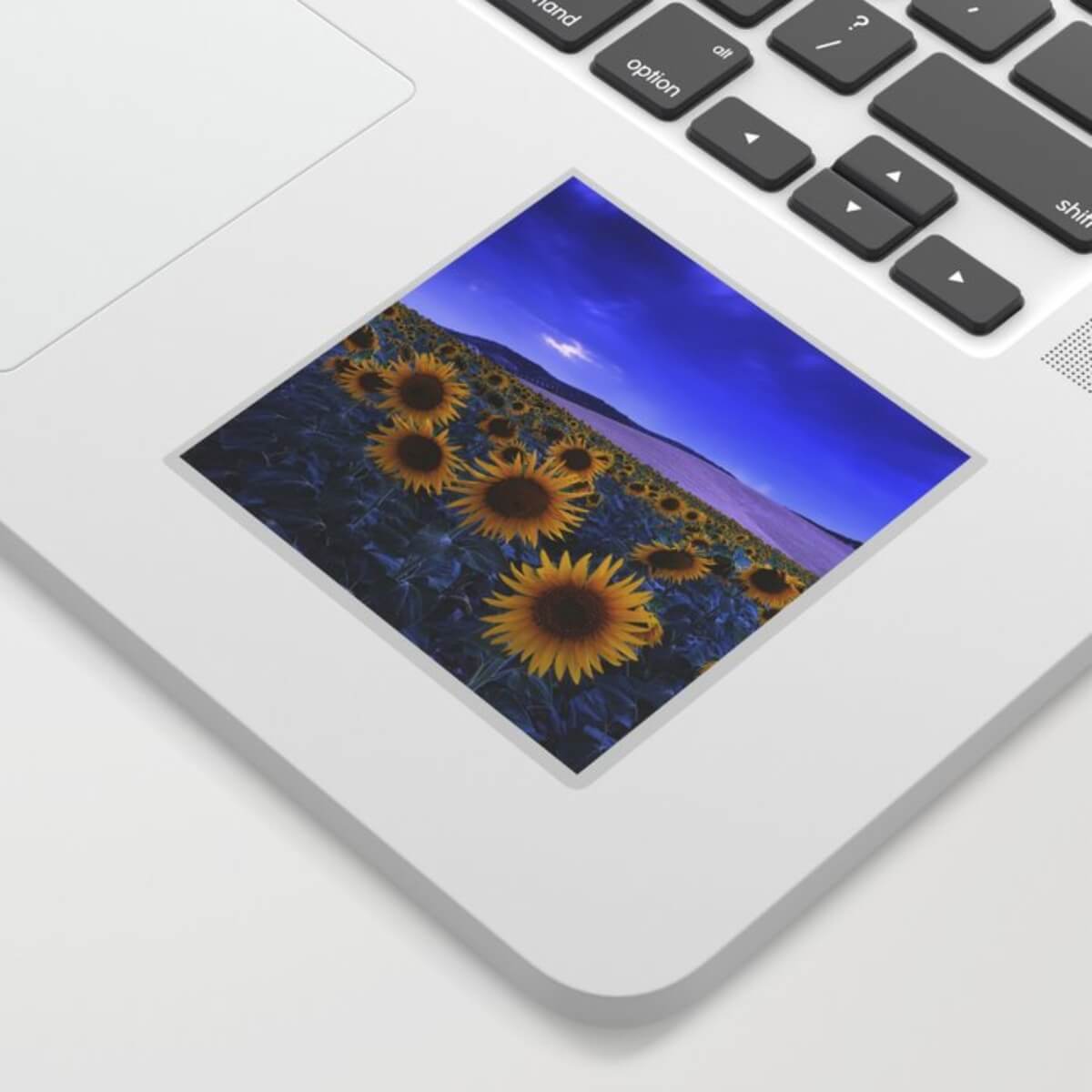 square sticker laptop.jpg