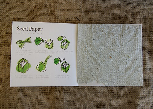 handfuls of herbs 2