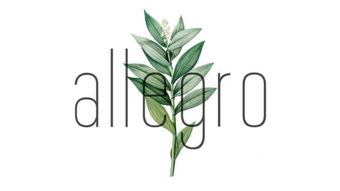 Allegro font