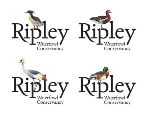 ripley wterfowl conservancy