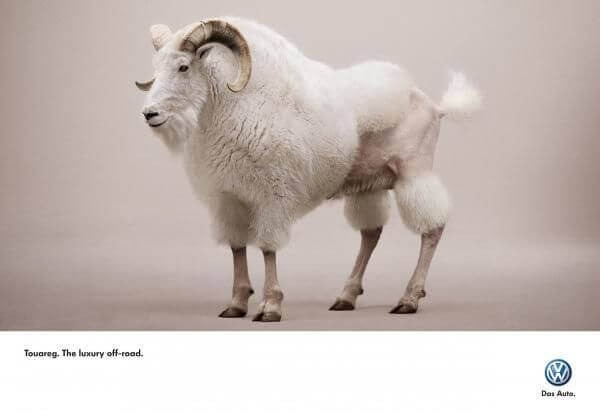 Volkswagen Touareg print ad showing a mountain goat, capable of climbing any terrain, shaved to look like a groomed city poodle