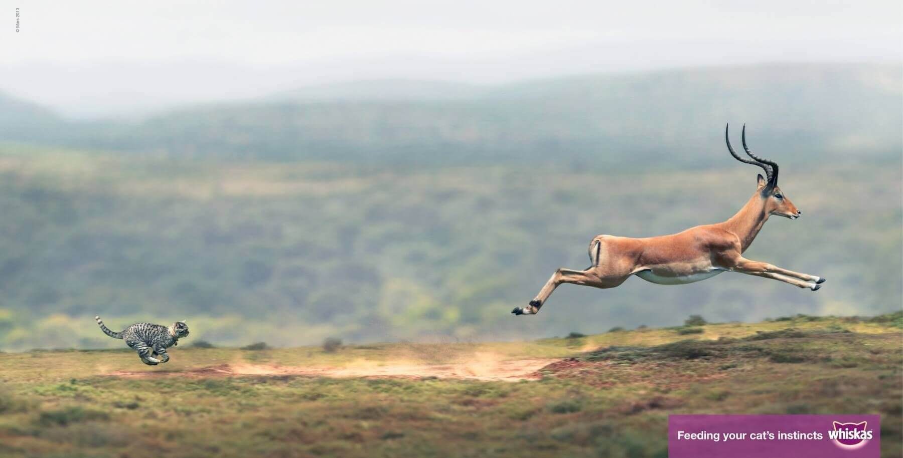 Whiskas cat food print ad showing a domestic house cat composited into the body of a wild big cat running across an African plain