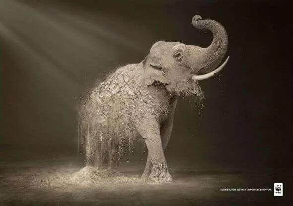 WWF print ad showing an endangered animal dissolving from its lower half into desert sand, visualizing desertification
