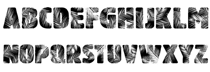 Palm Beach decorative font with palm leaf pattern