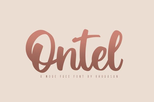 15-ontel.jpeg