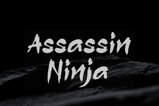 11-assassinninja.png