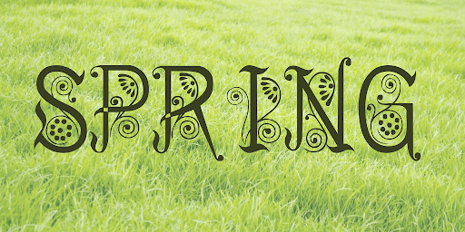 22-spring.png